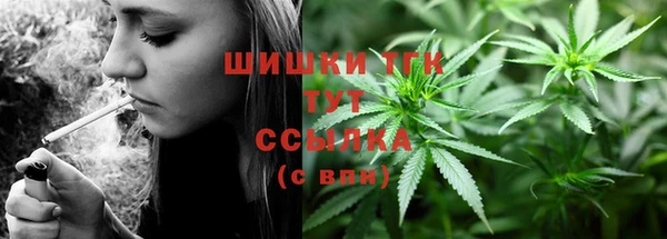 ГАЛЛЮЦИНОГЕННЫЕ ГРИБЫ Лагань