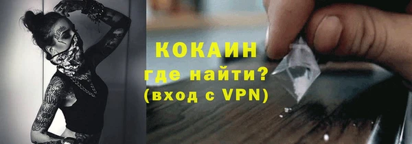 ГАЛЛЮЦИНОГЕННЫЕ ГРИБЫ Лагань