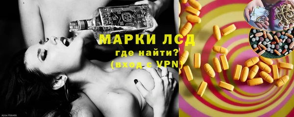 стаф Липки