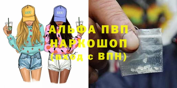 ГАЛЛЮЦИНОГЕННЫЕ ГРИБЫ Лагань